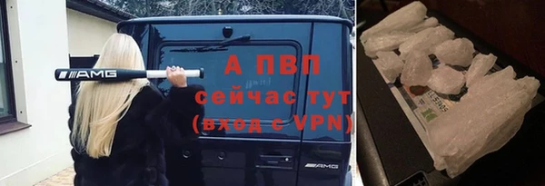 тгк Алексин